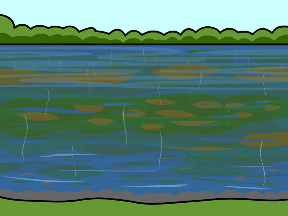 Image for Pollution de l'eau