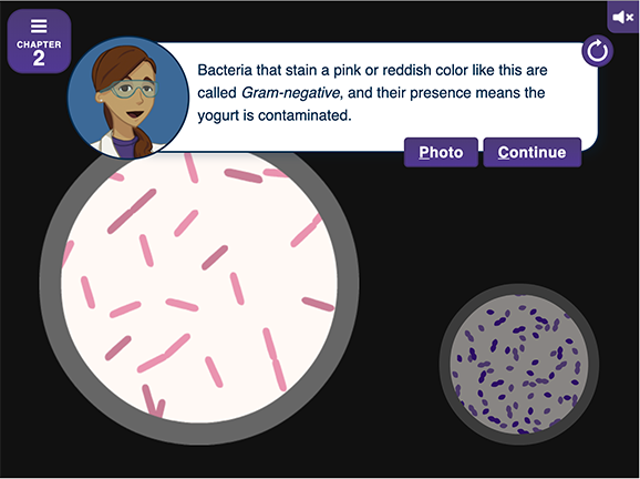 Image for Virtual Labs: Gram Staining