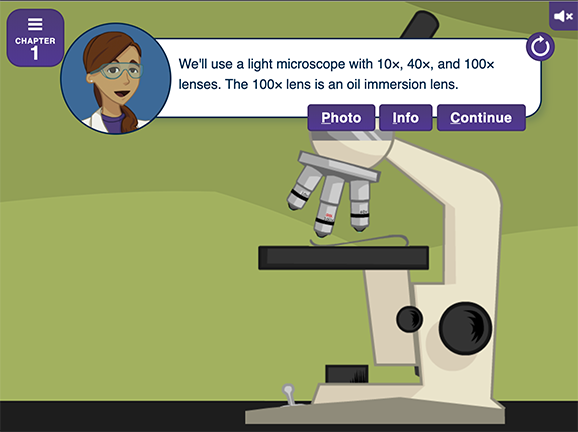 Image for Virtual Labs: Using the Microscope