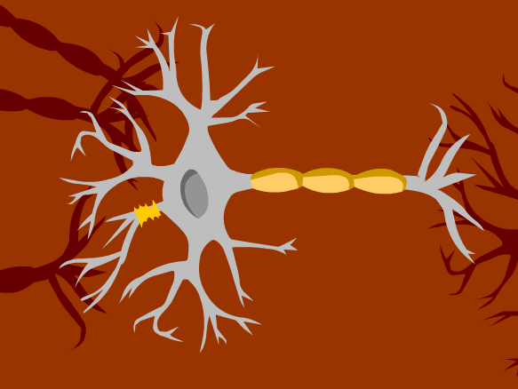 Neurons Lesson Plans and Lesson Ideas | BrainPOP Educators