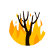 Incendios Forestales