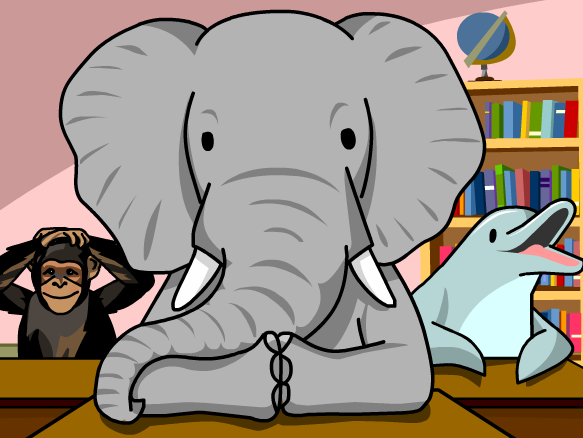 Image for Elefantes