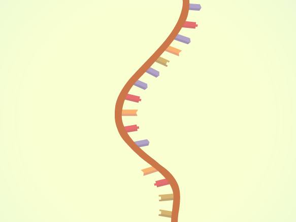 Image for ARN