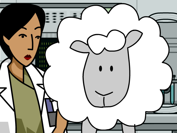 Image for Dolly the Sheep