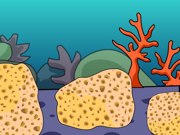 Image for Sponges