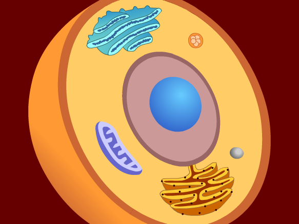 Cells - BrainPOP